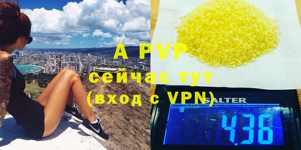 твердый Корсаков