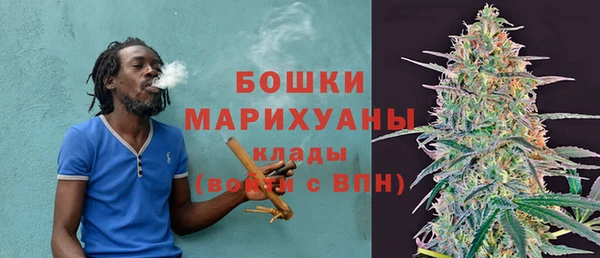 твердый Корсаков