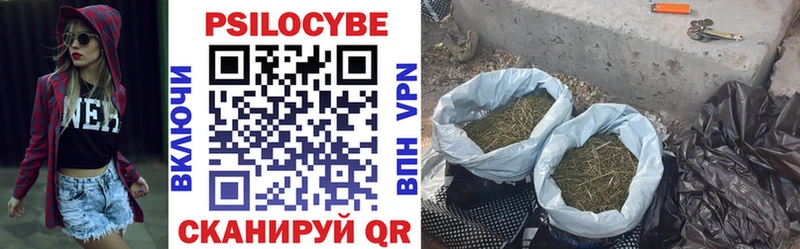Купить  Бирск  Псилоцибиновые грибы GOLDEN TEACHER 
